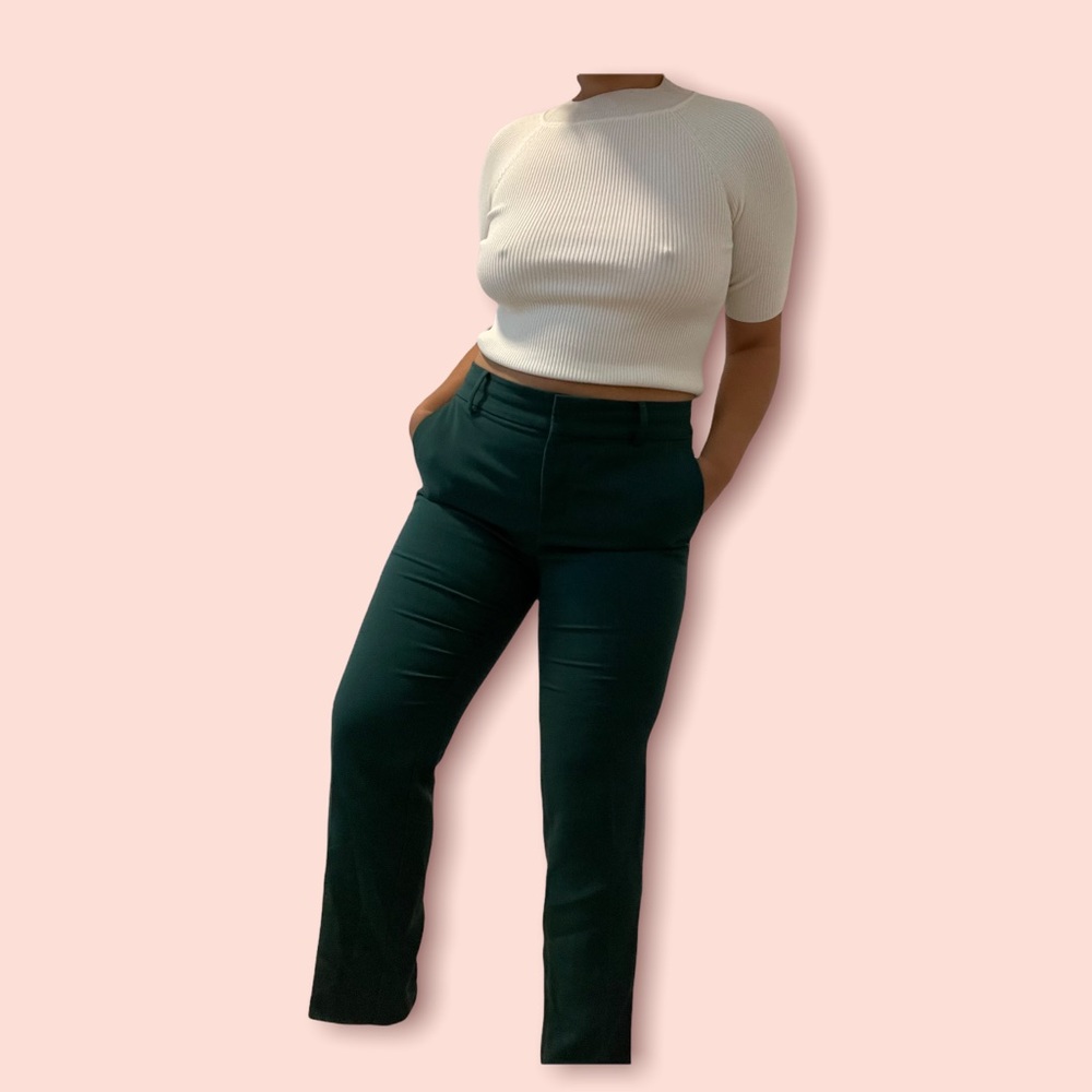 Ann Taylor Dress Pants
